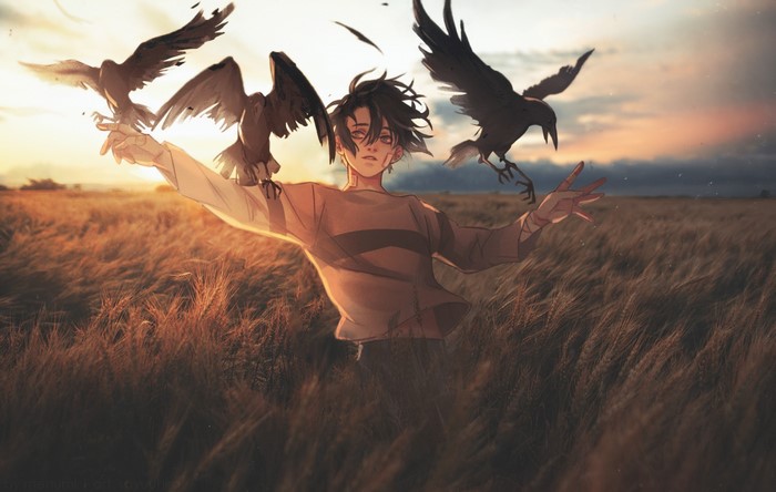 Anime boy with birds in a wheat field at sunset