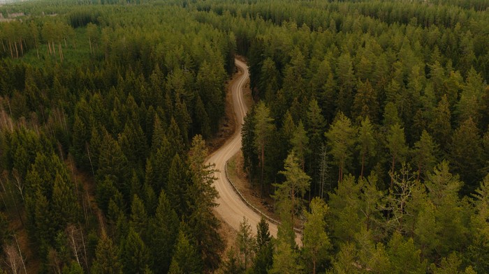 Aerial view of a winding road through a Latvian forest