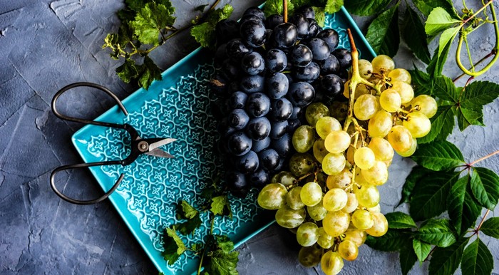 Black and green grapes on a blue tray with scissors