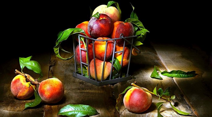 Still life of peaches in a basket with leaves