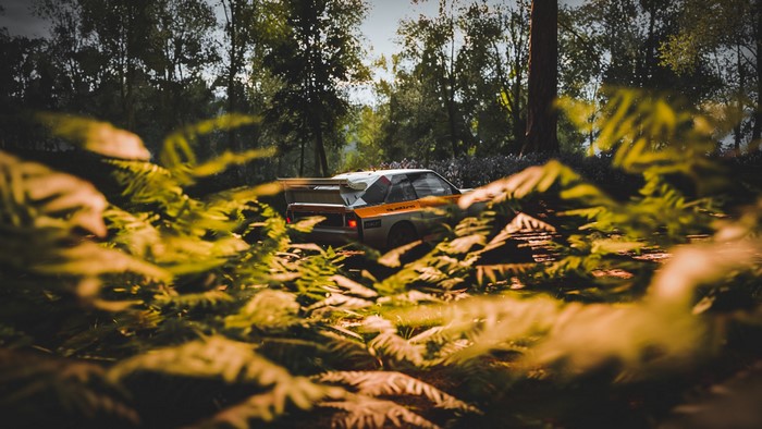 Audi Sport Quattro S1 rally car in a forest