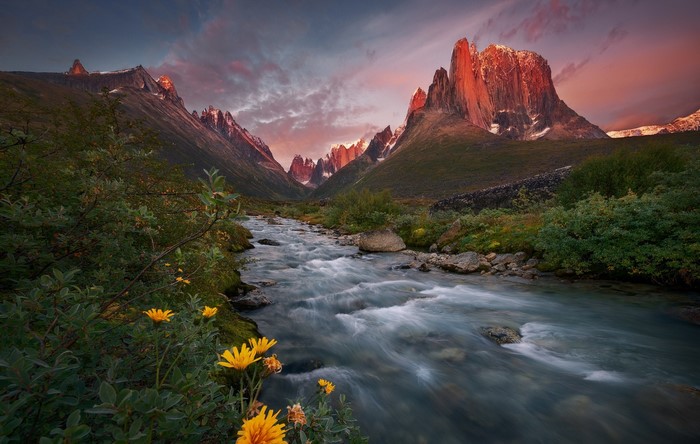 Greenland mountains and river at sunset with flowers