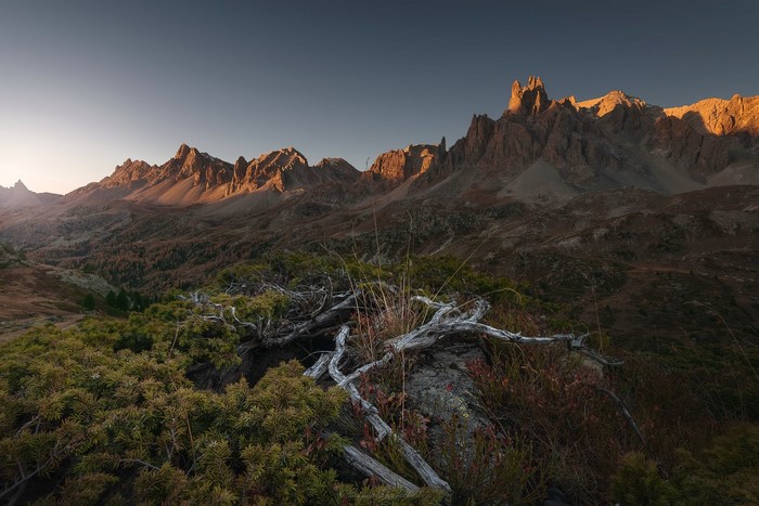 Mountain range at sunrise with foreground vegetation