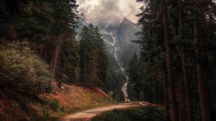 4K Mountains and Forest Nature Scene