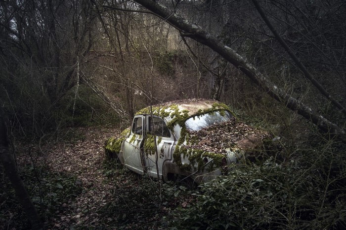 Overgrown abandoned car in a dark forest