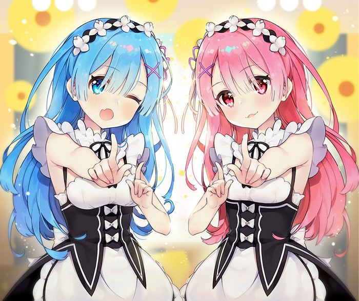 Rem and Ram from Re: Zero in Maid Outfits