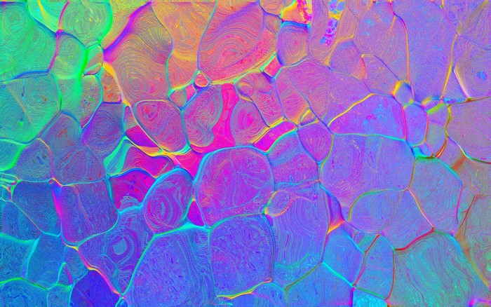 Colorful abstract texture with bubble-like patterns