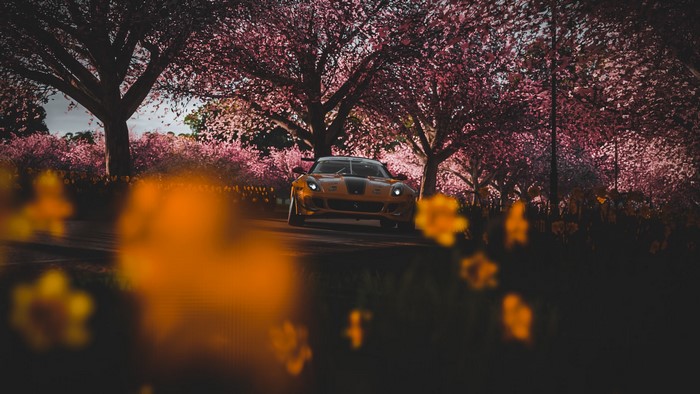 Ferrari 599 from Forza Horizon 4 driving through cherry blossoms