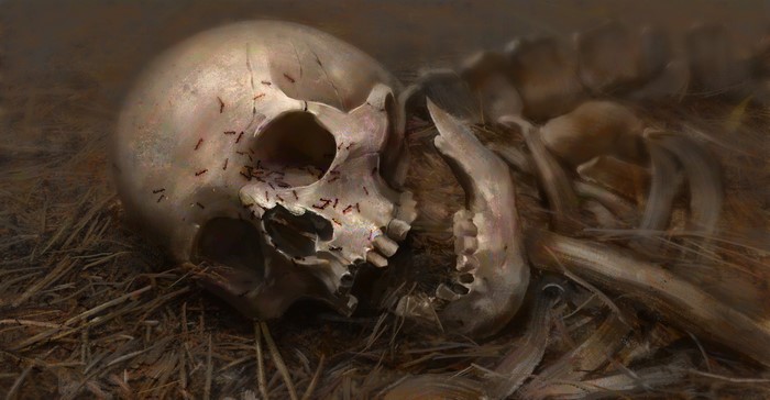 Skeleton skull with ants on grass by Erikas Perl