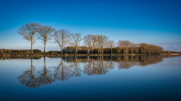 Trees reflecting in a calm river under a blue sky