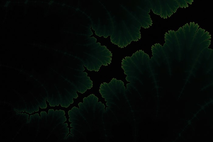 Dark fractal patterns by Adi Dizdarevic