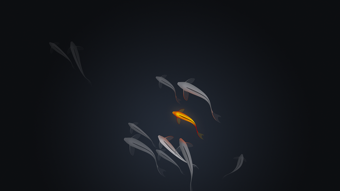 Minimalist artwork of a single orange koi fish swimming with a school of grey koi fish