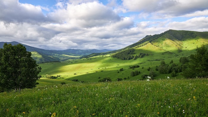 Green Altai Mountains landscape with wildflowers and clouds