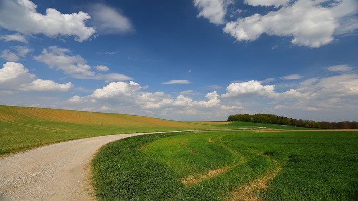 Dirt road through green fields under a blue sky with clouds