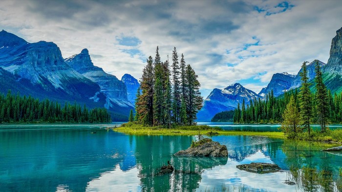 Island of trees in a turquoise lake with mountains