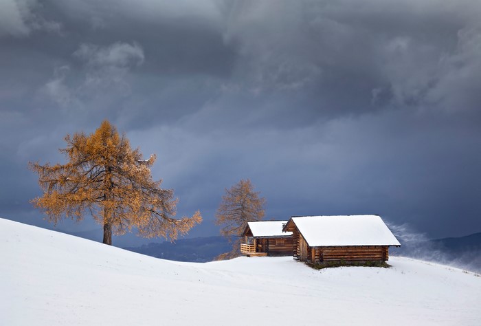 Wooden huts and a golden tree in a snowy landscape under a stormy sky