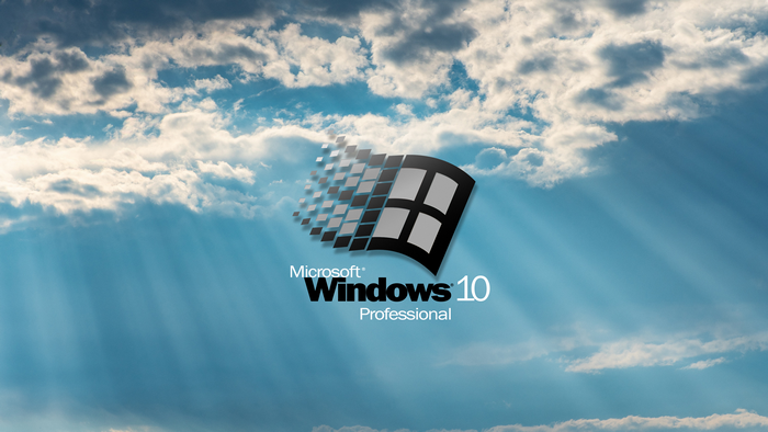 Microsoft Windows 10 Professional Logo