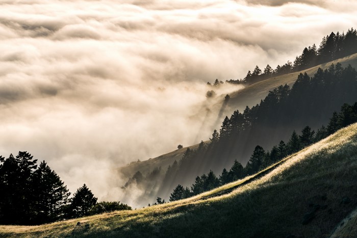 4K sunrise over misty mountains with trees and grass