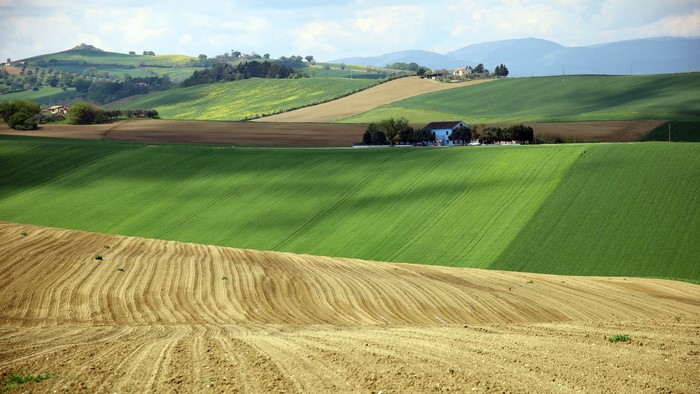 Rolling hills with green fields and a farm