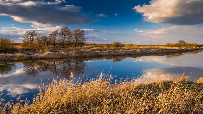 River reflecting trees and clouds at sunset