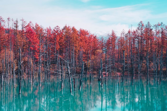 Autumn forest reflected in a blue pond in Japan