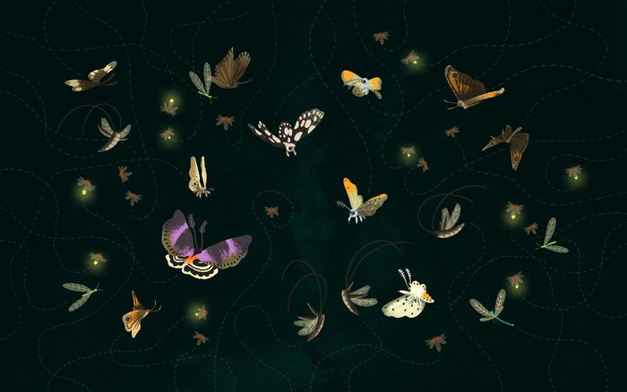Digital art illustration of butterflies and fireflies at night