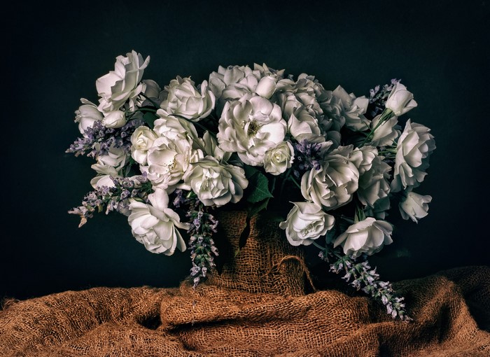 Still life of white roses and lavender in a burlap vase