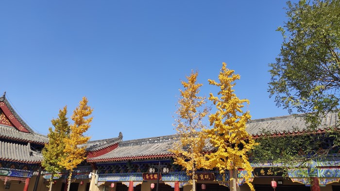 4K Asian architecture with autumn trees