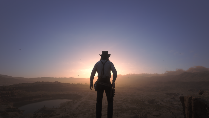 Man in cowboy attire overlooking desert landscape at sunset