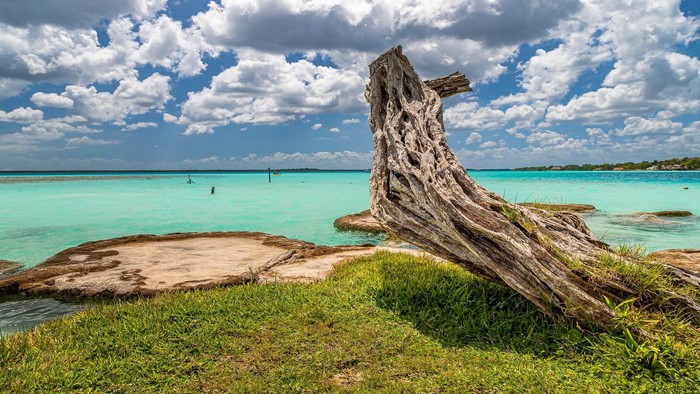 Lagoon landscape with driftwood and clouds