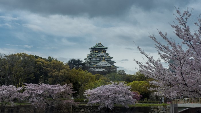 Osaka Castle surrounded by cherry blossoms under cloudy sky