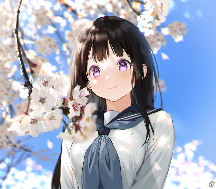 Chitanda Eru from Hyouka under cherry blossoms