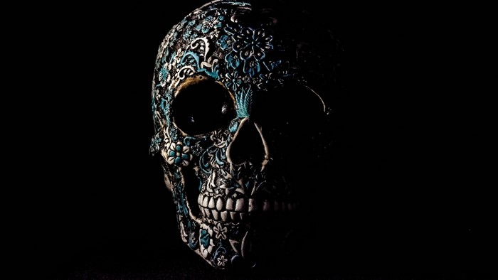 4K Blue Floral Skull Artwork