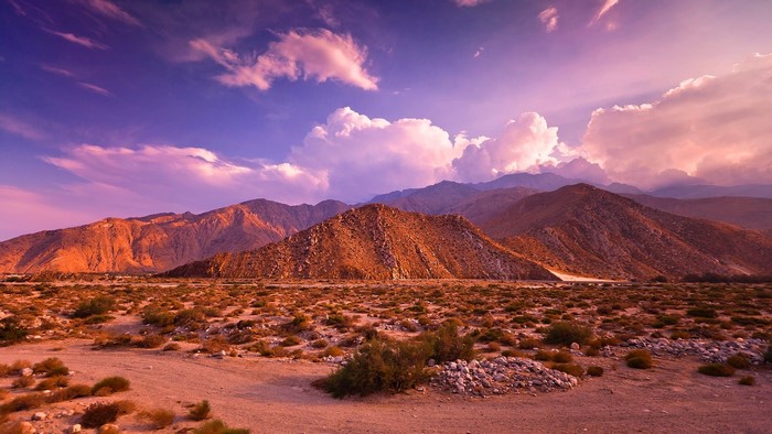 Desert mountains with colorful sky and sparse vegetation