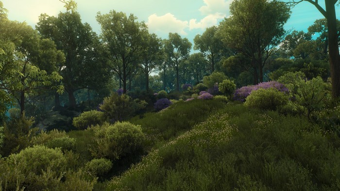 The Witcher 3: Wild Hunt landscape