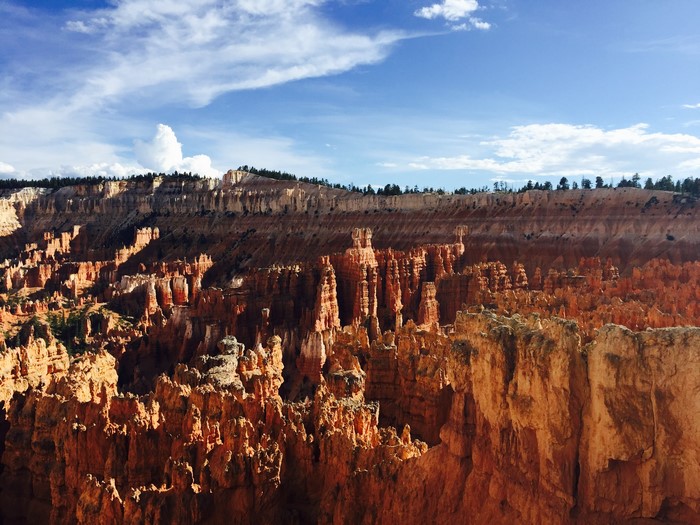Bryce Canyon National Park Landscape