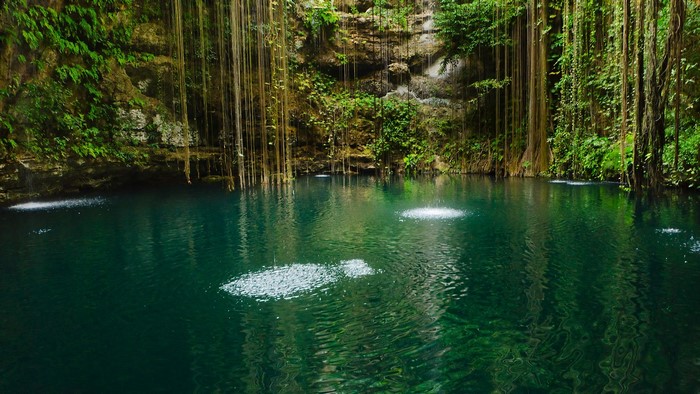 Cenote Ik Kil, Yucatan Peninsula, Mexico
