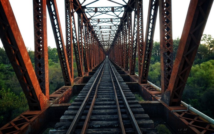 Rusty railway bridge over a green forest