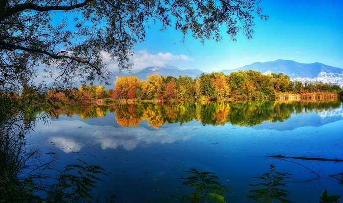 Autumn trees reflecting in a calm lake with mountains in the background