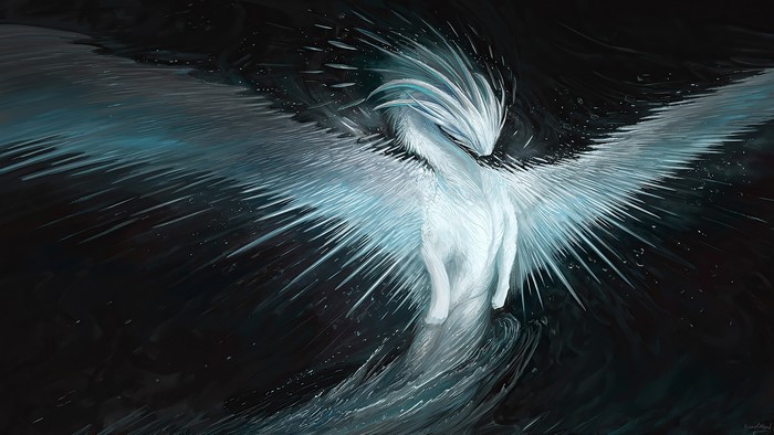 Fantasy creature with wings in dark background