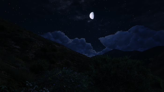 4K Grand Theft Auto V night landscape