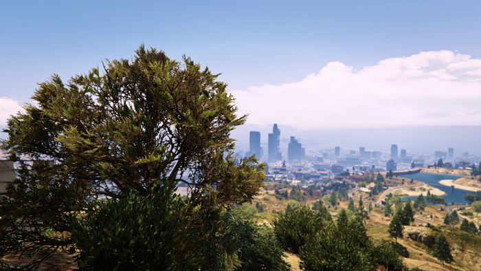 Landscape with city skyline and trees in Grand Theft Auto V