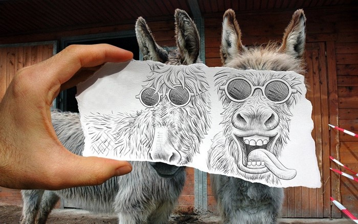 Hand holding drawing of donkeys with sunglasses