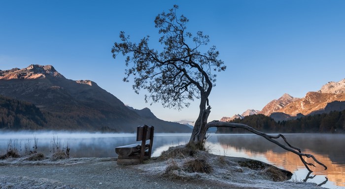 Tree and bench by a misty lake with mountains