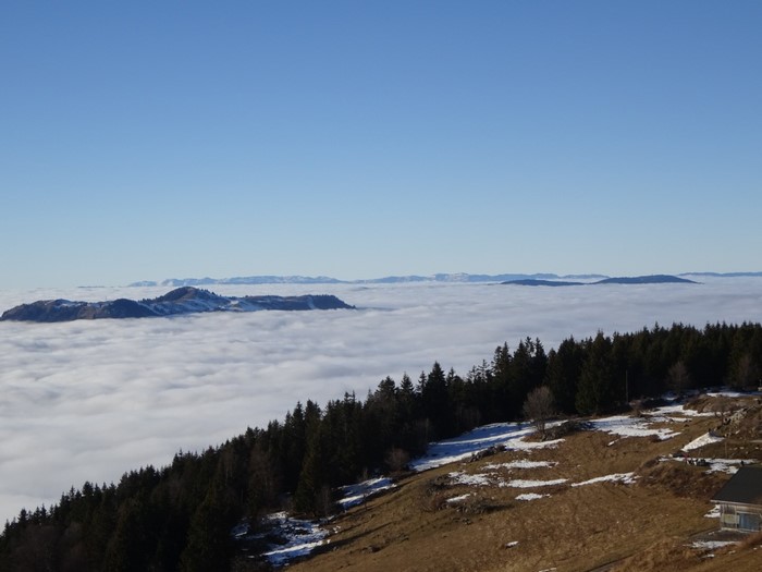 Mountains above clouds with snow and forest