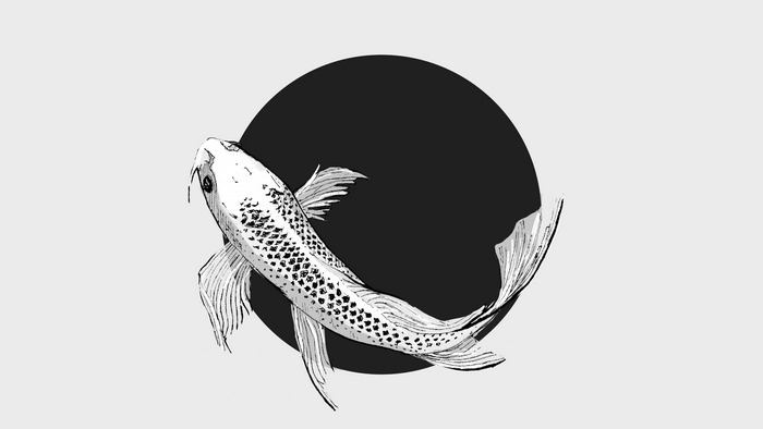 Drawing of a koi fish in a circle