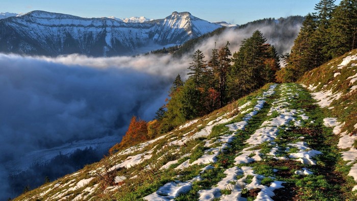 Snowy mountain path with fog and trees