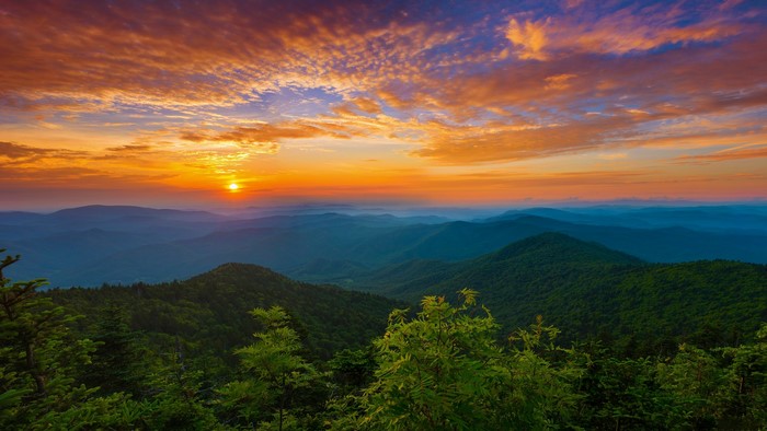 Sunset Over Tennessee Forest Landscape