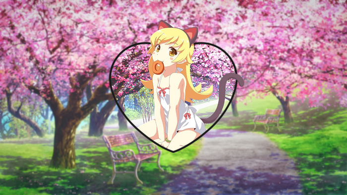 Oshino Shinobu from Monogatari Series