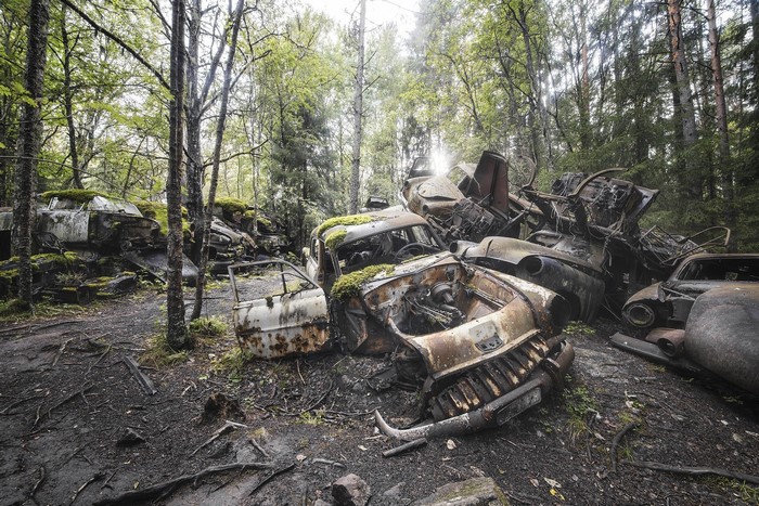 Abandoned cars rusting in a forest junkyard